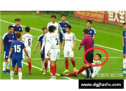 球员遭遇袭击：体育界的安全警示