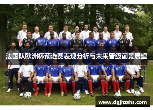 法国队欧洲杯预选赛表现分析与未来晋级前景展望